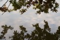 reflet 2 leger